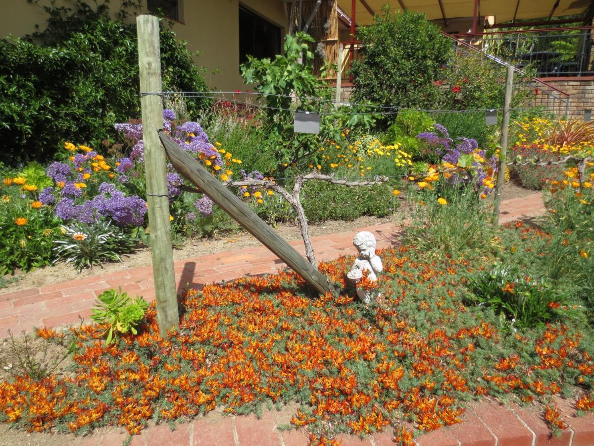 Haus Perlenblick Bed & Breakfast Paarl Exterior photo